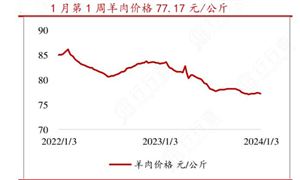 基建行业未来前景机遇深度调研2024(图3)